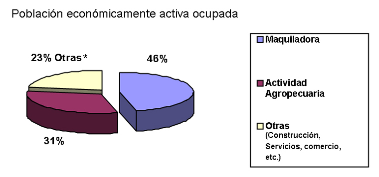 Ocupacin de la poblacin econmicamente activa.