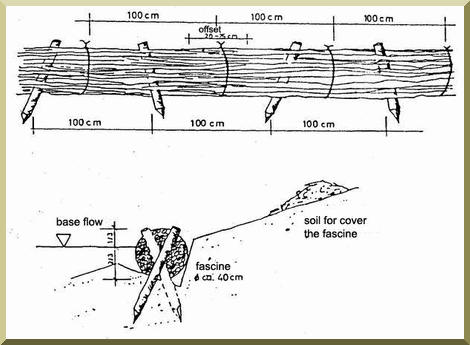 Installation of fascines