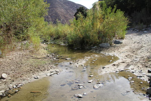 Cabecera del Arroyo Guadalupe,  aguas abajo del Cañón Hondo.