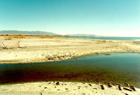 Whitewater river.