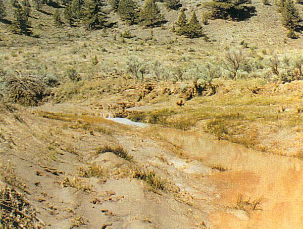 Vegetation along the banks filtered sediment from a summer flood event. The raising of the flood plain also caused the channel to widen