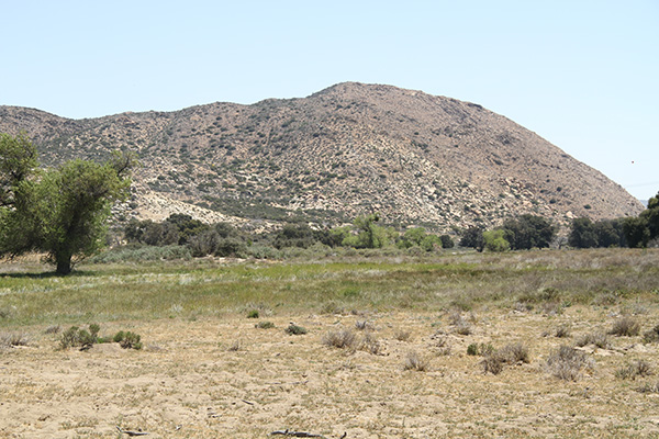 Site of Soitec LanEast Solar