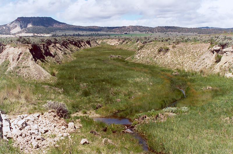 Camp Creek, near Prineville, Oregon