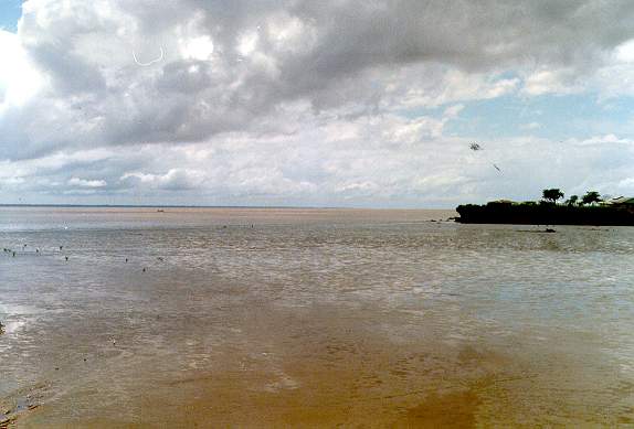 Rio Amazonas perto da sua foz