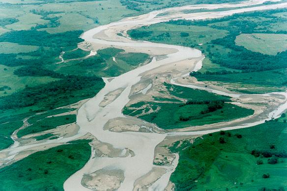 Canal anastomosado