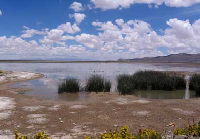 Lago Uru Uru