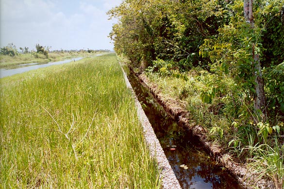 El vertedero de desbordamiento de 8000 pies de largo
en la Conservación Boerasirie, Guyana.