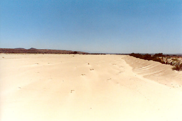 rio mojave