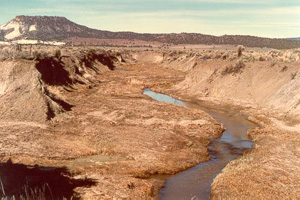 Camp Creek in 1989.