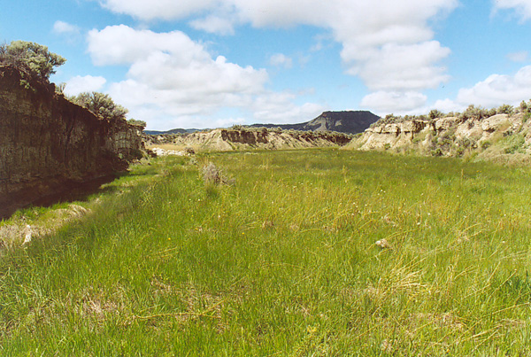 Camp Creek, as seen from the streambed (2004).