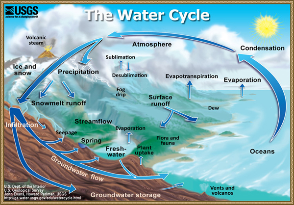 The water cycle.