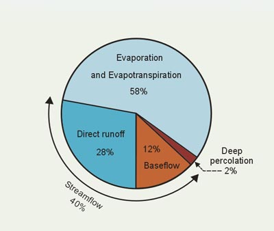  Global annual components of precipitation