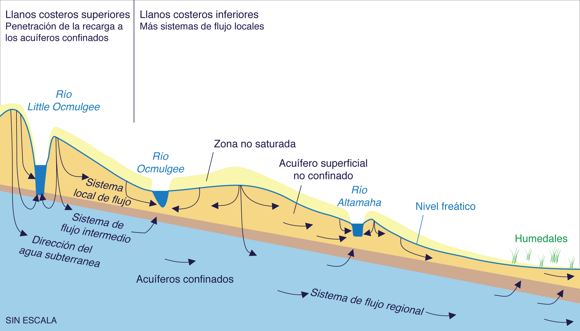 Conceptual hydrological flow system in Georgia's coastal plains.