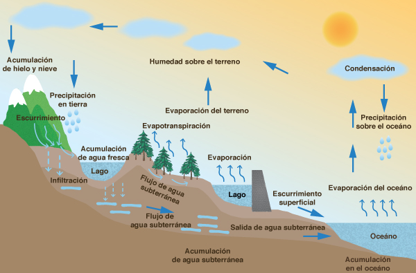 Global water balance