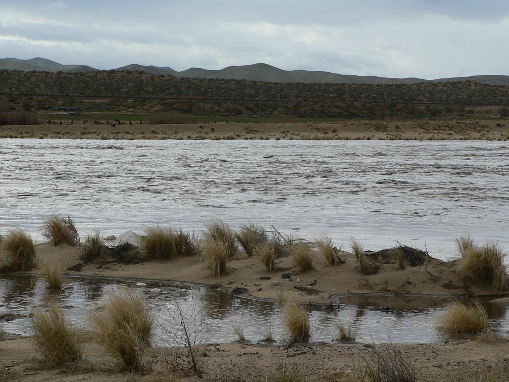 The Mohave river at Indian Trail, near Helendale, California.