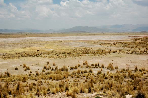 Barren natural depression as observed from the top of Tiracoma 1