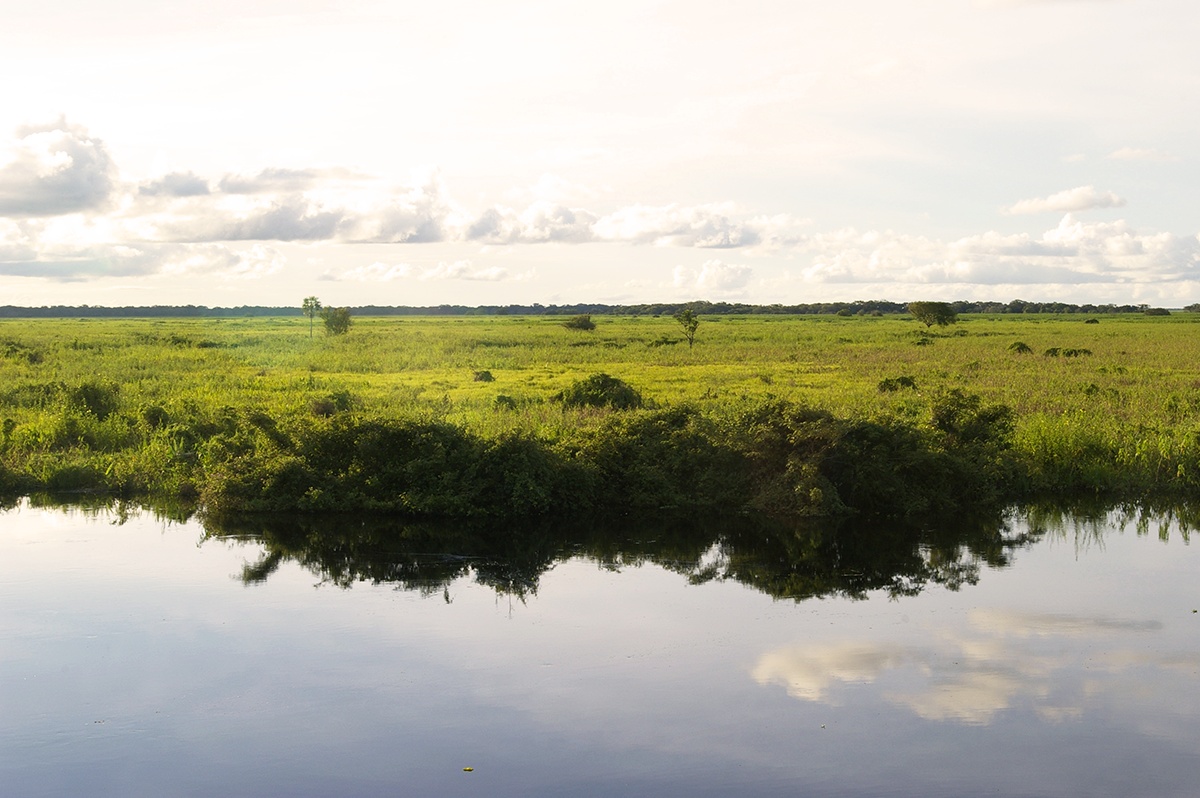 llanos de moxos