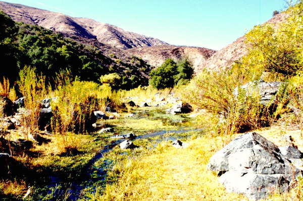 Ojos Negros, Baja California