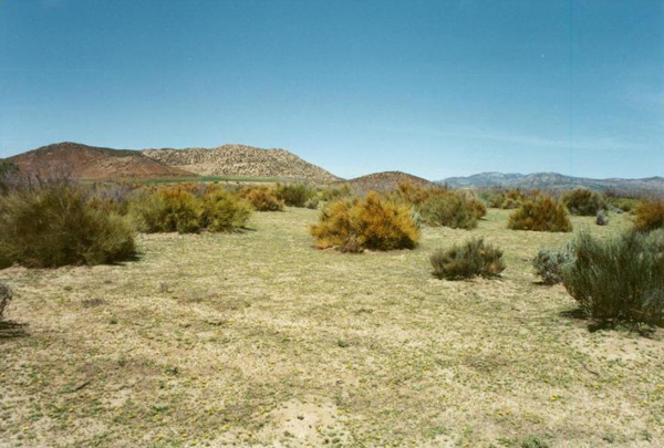 Ojos Negros, Baja California