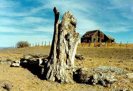 Ojos Negros, Baja California