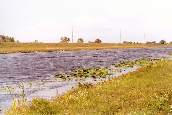 The Miami Canal, South Florida.