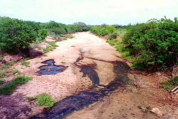 Riacho Navio, in the backlands of Bahia, Brazil (1992). 