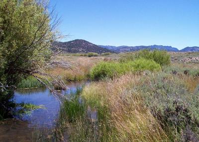 Confluence of Red Clover Creek and McReynolds Creek, on July 2004 (left) and July 2007 (right)