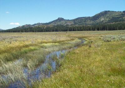 Red Clover Creek at cross section 19, on June 2006 (left) and July 2007 (right)