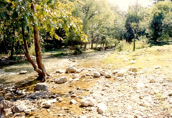 Rio La Silla Natural Park,
Monterrey, Nuevo Leon, Mexico