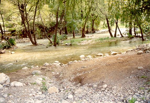 Close-up
of Rio La Silla at Rio La Silla Natural Park