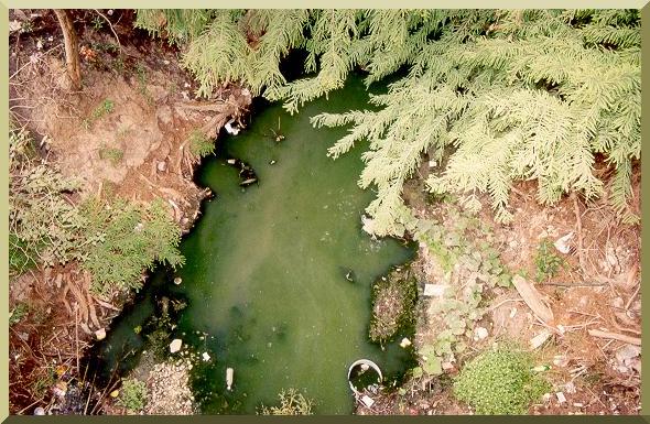 The Tlaxiaco river on the San Miguel bridge, showing pollution with urban wastewater