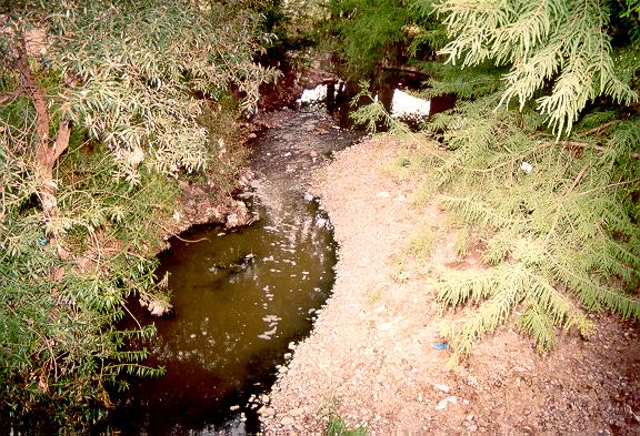 Vista del Ro Tlaxiaco desde el Puente Colonia Profesor Manuel Gmez Martnez