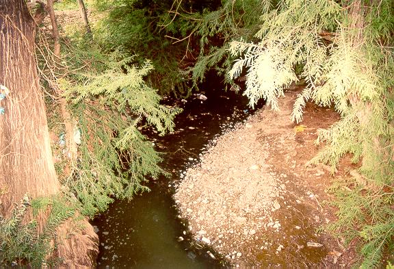 Vista del Ro Tlaxiaco desde el Puente Colonia Guadalupe Llano Yosovee (No. 11), hacia aguas arriba, mostrando la contaminacin con aguas negras y basura