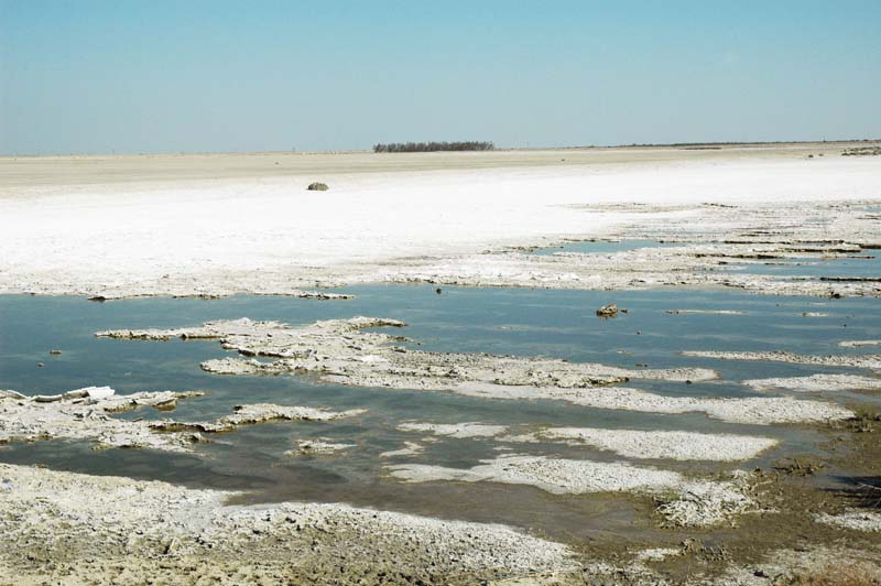 South evaporation pond, Tulare Lake Drainage District, California