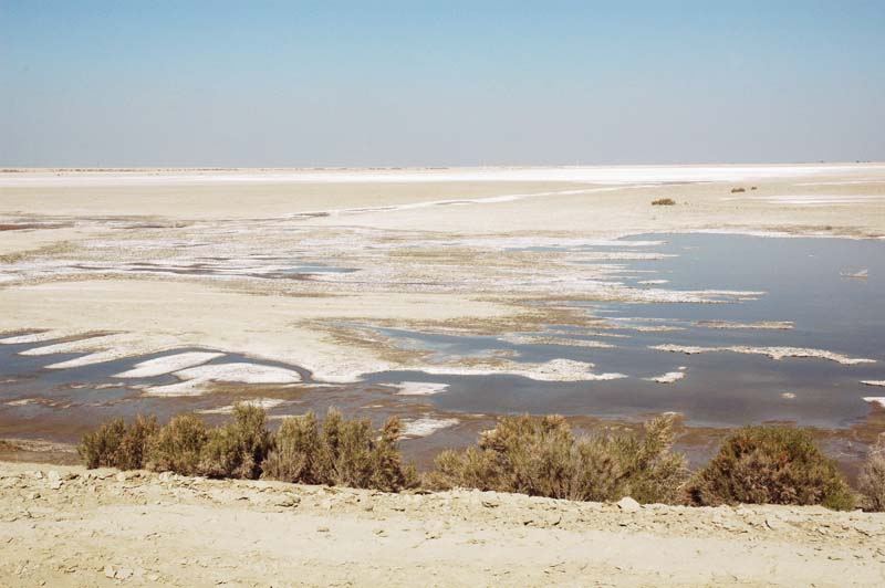 Evaporation pond, Tulare Lake basin, California.