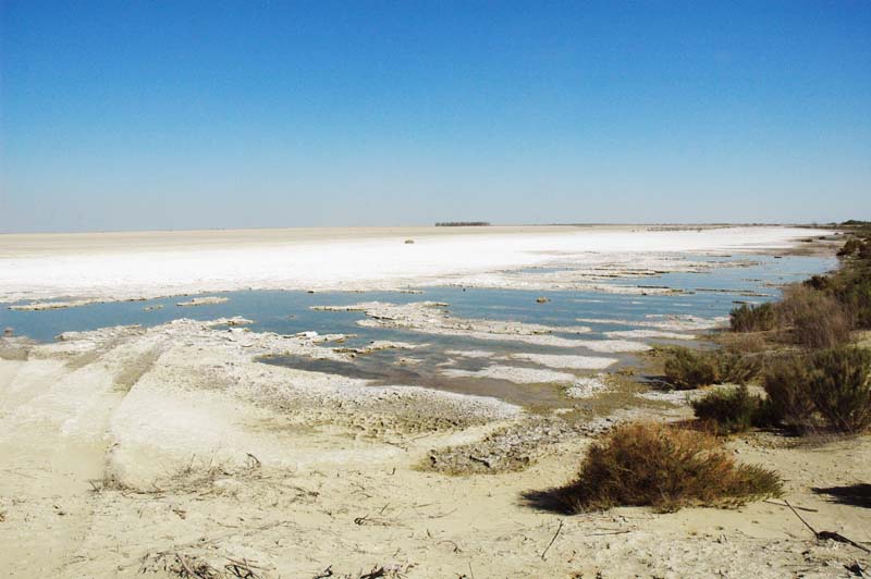 Evaporation basin in Tulare Lake basin, California