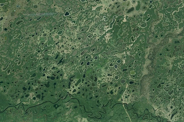 Salt ponds in the Pantanal of Mato Grosso, Brazil.