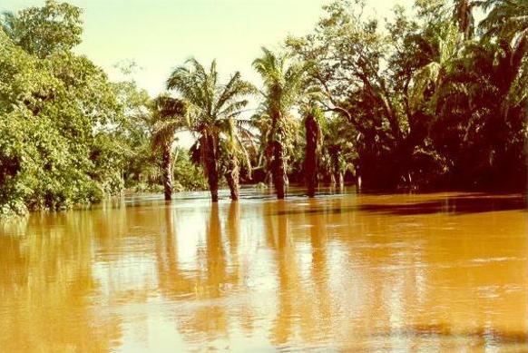 Chané river at flood stage, Santa Cruz, Bolivia