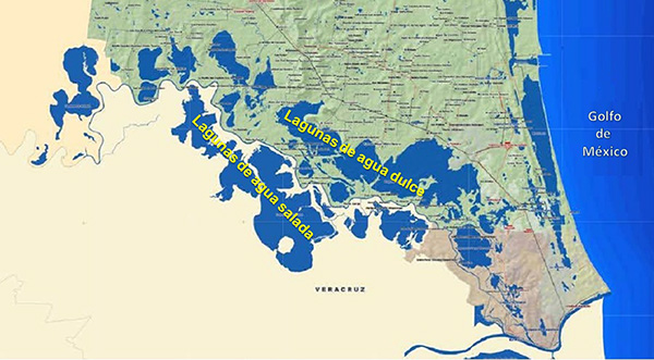 Subsistemas de agua dulce y salada en el sistema 
lagunario del rio